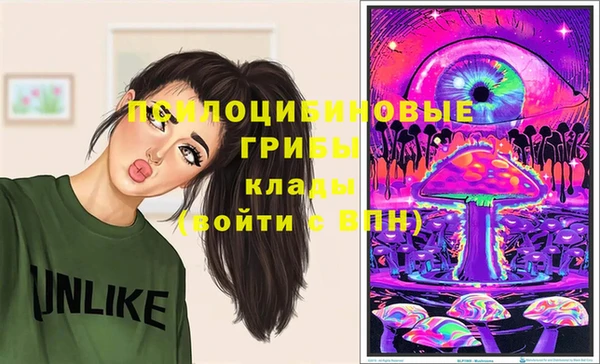 сатива Алзамай