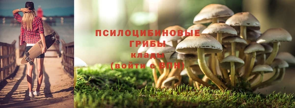 твердый Карталы