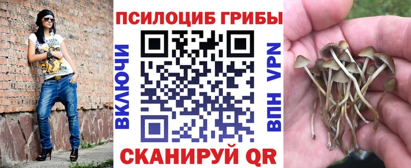 darknet наркотические препараты  Бугуруслан  Галлюциногенные грибы ЛСД 