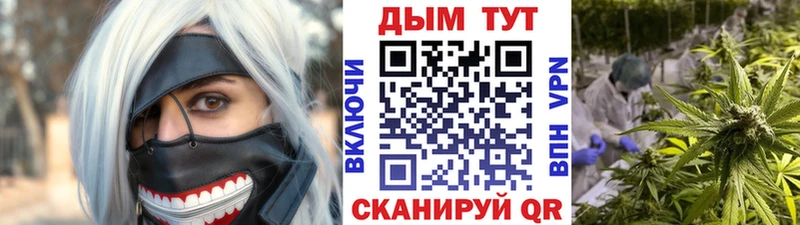 Конопля сатива  Бугуруслан 